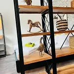 Stallgefluester Appartement