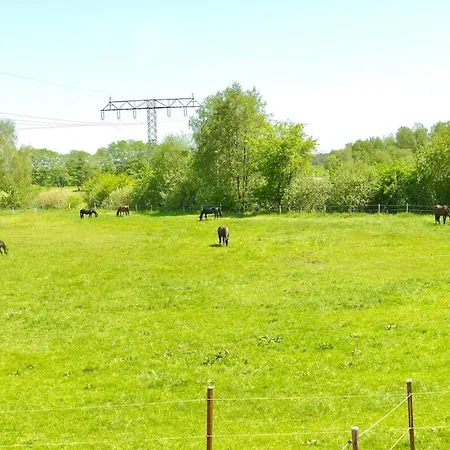 Stallgefluester * Michendorf