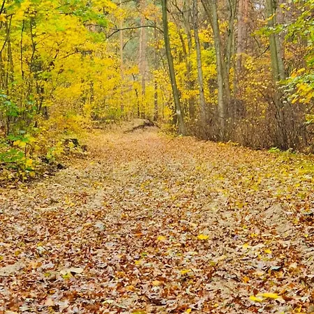 Appartamento Stallgefluester Michendorf