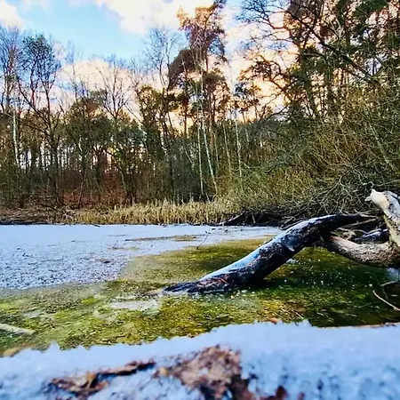 Stallgefluester Appartamento Michendorf