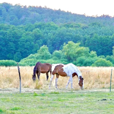 Stallgefluester * Michendorf