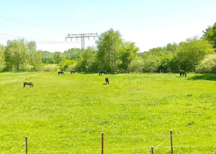 Stallgeflüster * Michendorf