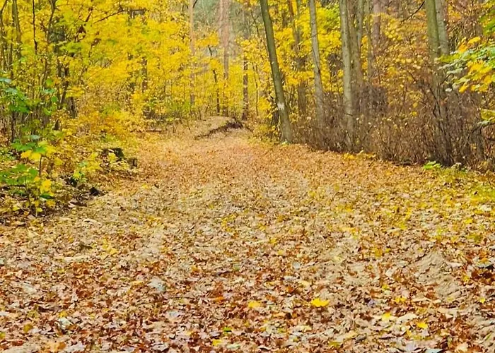 Апартаменты Stallgefluester Михендорф