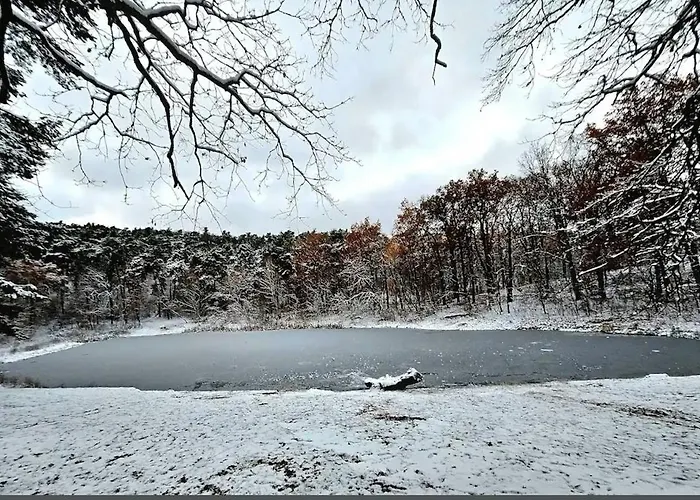 Апартаменты Stallgefluester