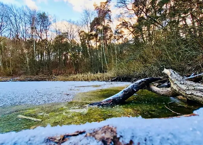 Stallgefluester Апартаменты Михендорф